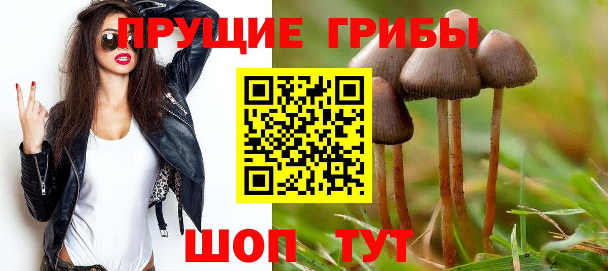Псилоцибиновые грибы Cubensis  Вход с VPN  Калуга 